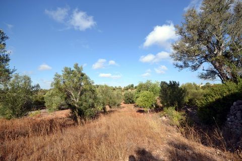 Helårsgrund i Loule, Faro, Loule - € 199.000 | Ref: 1009-2398 - foto 17