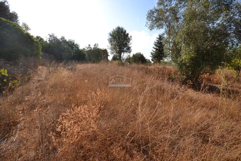 Helårsgrund i Loule, Faro, Loule - € 199.000 | Ref: 1009-2398 - foto 18