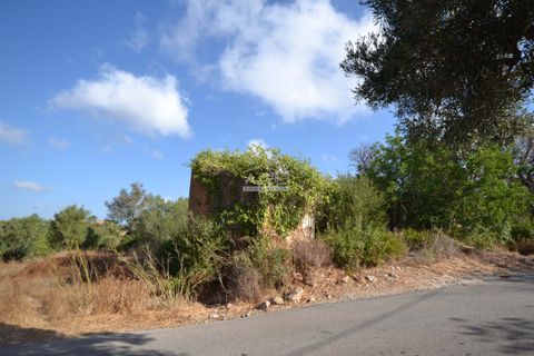 Helårsgrund i Loule, Faro, Loule - € 199.000 | Ref: 1009-2398 - foto 19