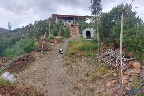 Helårsgrund i Silves, Faro, Silves - € 279.000 | Ref: 126908 - foto 8