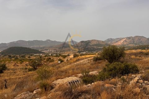 Villa i Monovar, Alicante, Monovar - € 30.000 | Ref: DNV0599 - foto 2