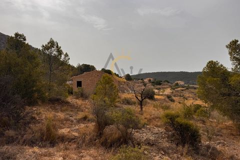 Villa i Monovar, Alicante, Monovar - € 30.000 | Ref: DNV0599 - foto 3