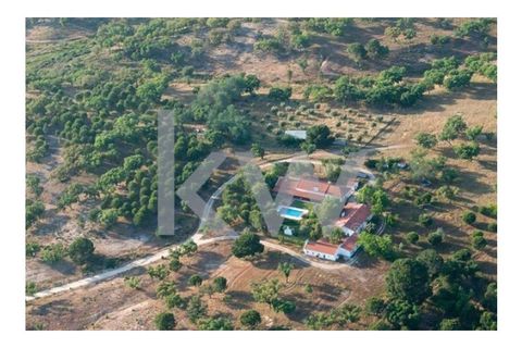 Farm i Montargil, Portalegre, Montargil - € 900.000 | Ref: KWPT-009553 - foto 1