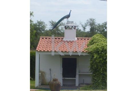 Farm i Montargil, Portalegre, Montargil - € 900.000 | Ref: KWPT-009553 - foto 7