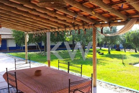 Farm i Montargil, Portalegre, Montargil - € 900.000 | Ref: KWPT-009553 - foto 10