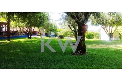 Farm i Montargil, Portalegre, Montargil - € 900.000 | Ref: KWPT-009553 - foto 14