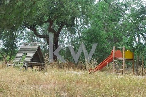Farm i Montargil, Portalegre, Montargil - € 900.000 | Ref: KWPT-009553 - foto 18
