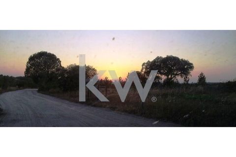 Farm i Montargil, Portalegre, Montargil - € 900.000 | Ref: KWPT-009553 - foto 19