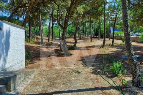 Villa i Sintra, Lisbon, Sintra - € 4.500.000 | Ref: 2203-96 - foto 11