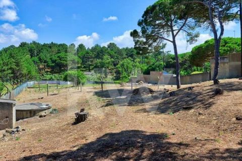Villa i Sintra, Lisbon, Sintra - € 4.500.000 | Ref: 2203-96 - foto 12
