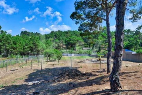 Villa i Sintra, Lisbon, Sintra - € 4.500.000 | Ref: 2203-96 - foto 13