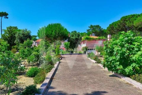 Villa i Sintra, Lisbon, Sintra - € 4.500.000 | Ref: 2203-96 - foto 26