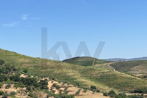 Farm i Longroiva, Guarda, Longroiva - € 250.000 | Ref: KWPT-018379 - foto 17