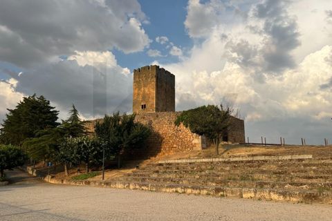 Farm i Longroiva, Guarda, Longroiva - € 250.000 | Ref: KWPT-018379 - foto 20