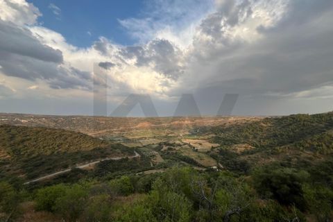 Farm i Longroiva, Guarda, Longroiva - € 250.000 | Ref: KWPT-018379 - foto 27