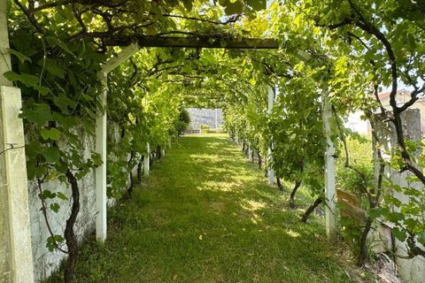 Farm i Cadaval, Lisbon, Cadaval - € 398.000 | Ref: KWPT-010295 - foto 10