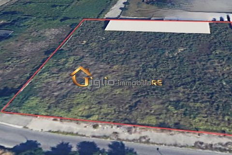 Terra a Afragola, Naples, Afragola - € 850.000 | Ref: QTG-507 - foto 2