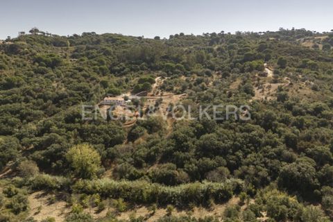 Villa i Palmela, Setubal, Palmela - € 1.770.000 | Ref: W-046NOG - foto 41