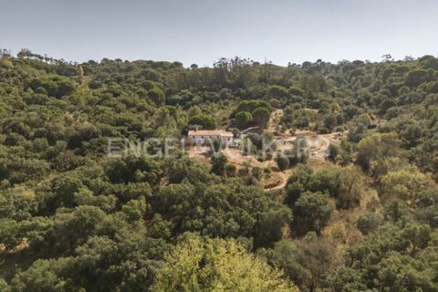 Villa i Palmela, Setubal, Palmela - € 1.770.000 | Ref: W-046NOG - foto 42