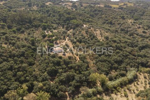 Villa i Palmela, Setubal, Palmela - € 1.770.000 | Ref: W-046NOG - foto 45