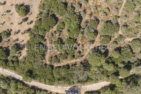 Villa i Palmela, Setubal, Palmela - € 1.770.000 | Ref: W-046NOG - foto 49