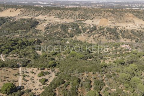 Villa i Palmela, Setubal, Palmela - € 1.770.000 | Ref: W-046NOG - foto 50