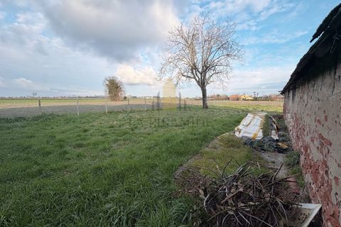 Landejendom i Conselve, Padua, Conselve - € 70.000 | Ref: 513 - foto 2