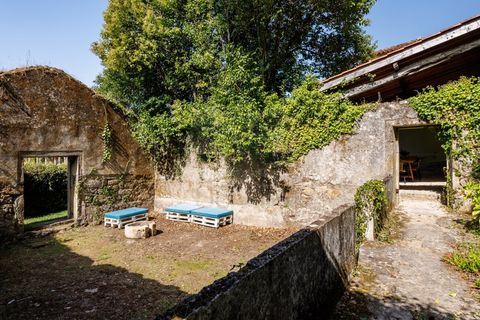 Farm i Ponte de Lima, Viana do Castelo, Ponte de Lima - € 1.700.000 | Ref: SAVPRT16008 - foto 3