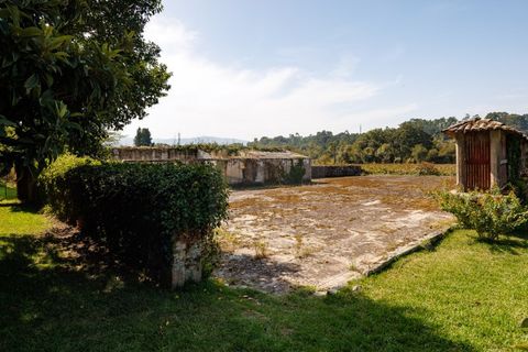 Farm i Ponte de Lima, Viana do Castelo, Ponte de Lima - € 1.700.000 | Ref: SAVPRT16008 - foto 6