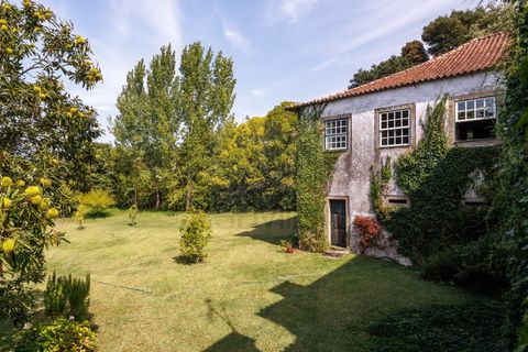 Farm i Ponte de Lima, Viana do Castelo, Ponte de Lima - € 1.700.000 | Ref: SAVPRT16008 - foto 27