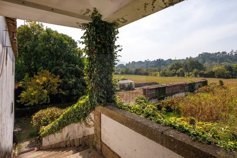 Farm i Ponte de Lima, Viana do Castelo, Ponte de Lima - € 1.700.000 | Ref: SAVPRT16008 - foto 30