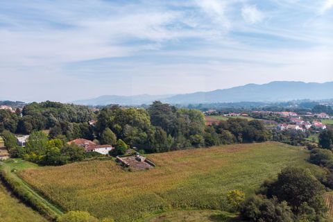 Farm i Ponte de Lima, Viana do Castelo, Ponte de Lima - € 1.700.000 | Ref: SAVPRT16008 - foto 34