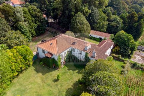 Farm i Ponte de Lima, Viana do Castelo, Ponte de Lima - € 1.700.000 | Ref: SAVPRT16008 - foto 35