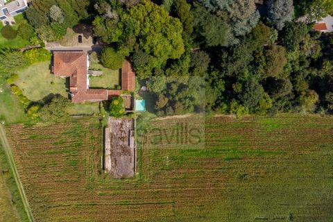 Farm i Ponte de Lima, Viana do Castelo, Ponte de Lima - € 1.700.000 | Ref: SAVPRT16008 - foto 37