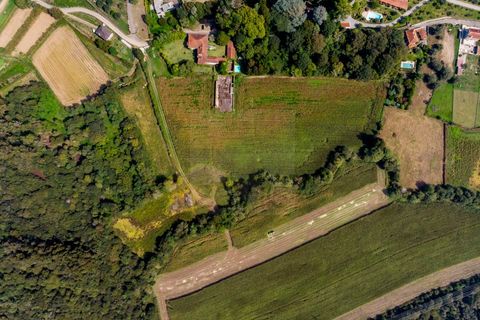 Farm i Ponte de Lima, Viana do Castelo, Ponte de Lima - € 1.700.000 | Ref: SAVPRT16008 - foto 38