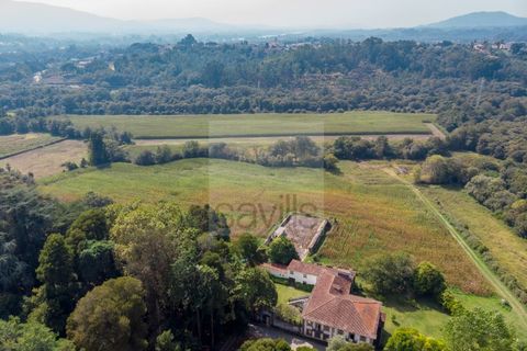 Farm i Ponte de Lima, Viana do Castelo, Ponte de Lima - € 1.700.000 | Ref: SAVPRT16008 - foto 39
