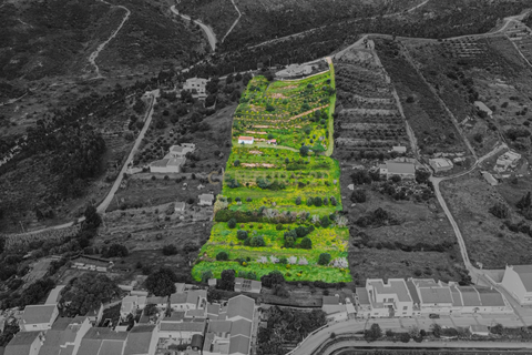 Farm hus i Silves, Faro, Silves - € 179.000 | Ref: C0507-00220 - foto 2