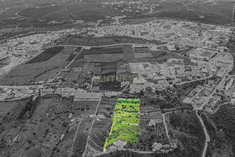 Farm hus i Silves, Faro, Silves - € 179.000 | Ref: C0507-00220 - foto 7