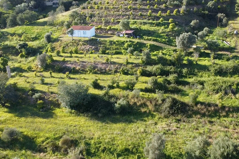 Farm hus i Silves, Faro, Silves - € 179.000 | Ref: C0507-00220 - foto 15