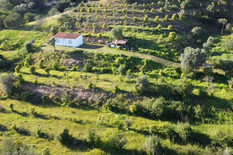Farm hus i Silves, Faro, Silves - € 179.000 | Ref: C0507-00220 - foto 17