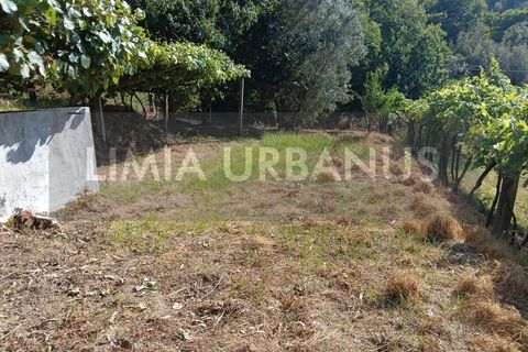 Helårsgrund i Ponte de Lima, Viana do Castelo, Ponte de Lima - € 55.000 | Ref: TER_1098 - foto 2