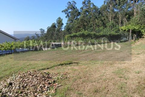 Helårsgrund i Ponte de Lima, Viana do Castelo, Ponte de Lima - € 55.000 | Ref: TER_1098 - foto 4