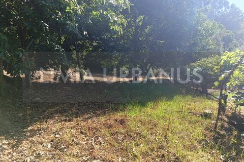Helårsgrund i Ponte de Lima, Viana do Castelo, Ponte de Lima - € 55.000 | Ref: TER_1098 - foto 6