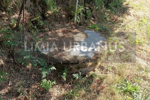 Helårsgrund i Ponte de Lima, Viana do Castelo, Ponte de Lima - € 55.000 | Ref: TER_1098 - foto 7