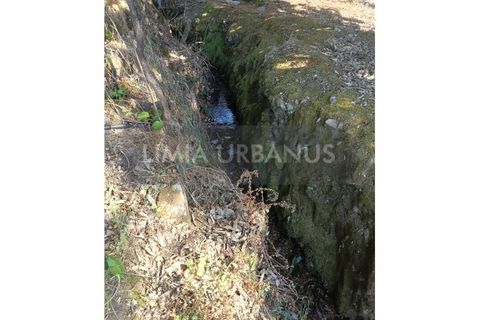Helårsgrund i Ponte de Lima, Viana do Castelo, Ponte de Lima - € 55.000 | Ref: TER_1098 - foto 8