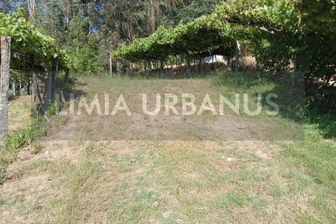 Helårsgrund i Ponte de Lima, Viana do Castelo, Ponte de Lima - € 55.000 | Ref: TER_1098 - foto 9