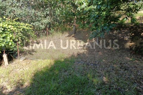 Helårsgrund i Ponte de Lima, Viana do Castelo, Ponte de Lima - € 55.000 | Ref: TER_1098 - foto 10