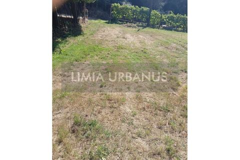 Helårsgrund i Ponte de Lima, Viana do Castelo, Ponte de Lima - € 55.000 | Ref: TER_1098 - foto 11