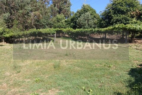Helårsgrund i Ponte de Lima, Viana do Castelo, Ponte de Lima - € 55.000 | Ref: TER_1098 - foto 12