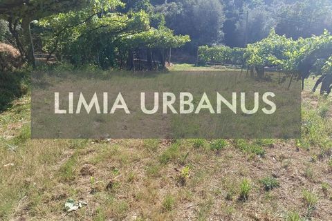 Helårsgrund i Ponte de Lima, Viana do Castelo, Ponte de Lima - € 55.000 | Ref: TER_1098 - foto 13